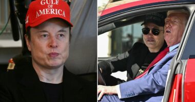 Tesla searches for new CEO to replace Elon Musk amid stock turmoil and forces White House exit