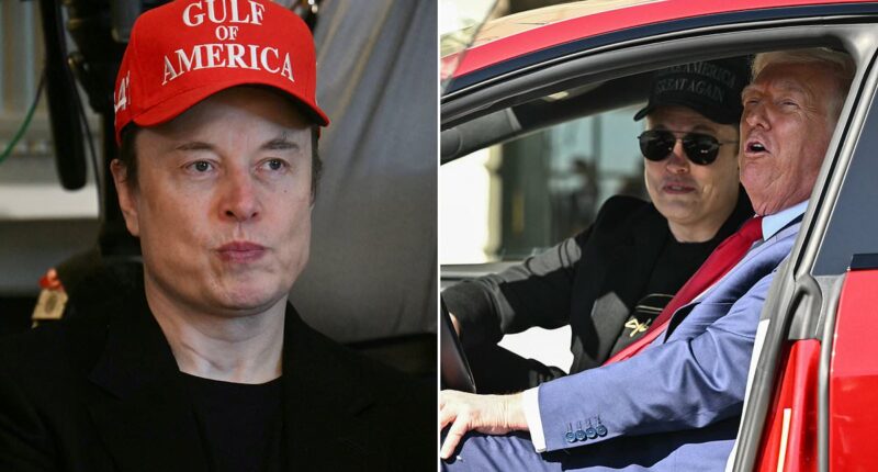 Tesla searches for new CEO to replace Elon Musk amid stock turmoil and forces White House exit