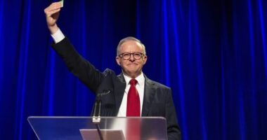 The damning figure that showed Trump's hands were all over this result