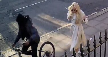 The exclusive London streets no longer safe to walk: How armed robbers are turning the capital's most affluent roads into no-go zones