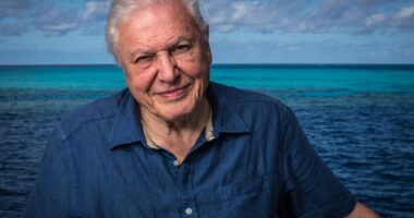 The one food Sir David Attenborough cut out which could help him 'live past 100' - after admitting he is 'nearing the end of his life' in powerful statement