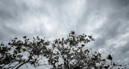 This weather pattern flip could play a big role in Central Florida hurricane season
