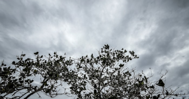 This weather pattern flip could play a big role in Central Florida hurricane season