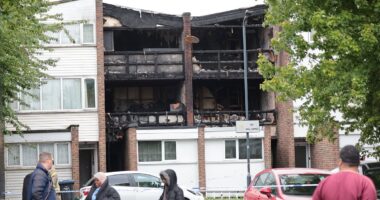 Three children aged four, eight and 15 and 43-year-old woman are killed in house fire as police arrest man