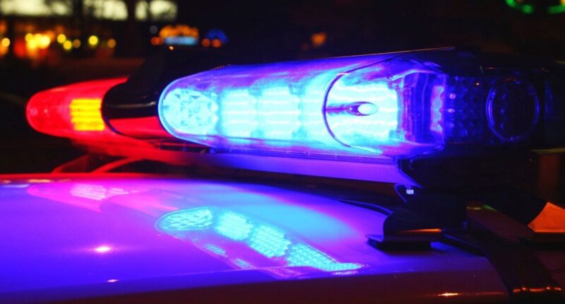 Three people killed after driver speeds away from Weld County traffic stop, crashes head-on into other vehicle