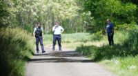 Three unanswered questions over ‘frenzied’ murder of Brit mum, 69, in French village as cops scour woodland for clues