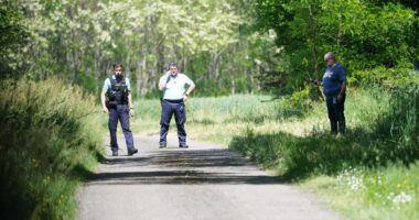 Three unanswered questions over ‘frenzied’ murder of Brit mum, 69, in French village as cops scour woodland for clues