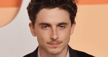 Timothée Chalamet 'Mauled' By Fans After Knicks Take Down Celtics At MSG