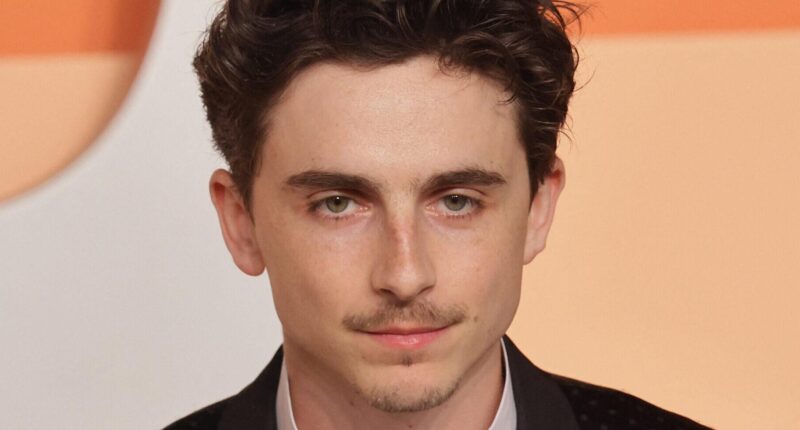 Timothée Chalamet 'Mauled' By Fans After Knicks Take Down Celtics At MSG