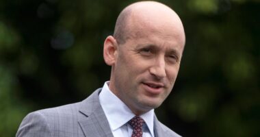 Top White House adviser Stephen Miller says Trump administration is considering suspending habeas corpus