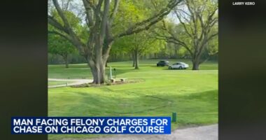 Tory Gardner in court, charged with wielding knife, hitting golfer during car chase on Edgebrook Billy Caldwell Golf Course