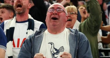 Tottenham fans go WILD in north London as they win their first trophy for 17 years by beating Manchester United in all-English Europa League final 850 miles away in Bilbao