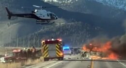 Tour van crash near Yellowstone National Park leaves 7 dead, police say