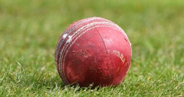 Transgender players are banned from women's and girl's cricket in England and Wales 'with immediate effect' after Supreme Court ruling