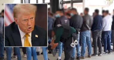 Trump can use IRS data for 'criminal' ICE enforcement: Judge