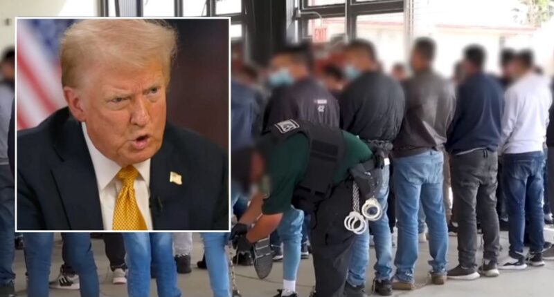 Trump can use IRS data for 'criminal' ICE enforcement: Judge