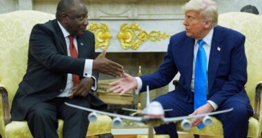 Trump confronts South African leader with baseless claims of the systematic killing of white farmers