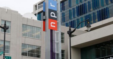 Trump cuts funds to NPR and PBS, citing 'woke propaganda'
