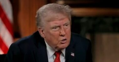 Trump finally reveals whether he will run in 2028 as he shrugs off appalled woke journalist: 'I'm not a lawyer'