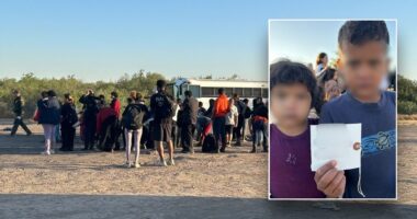 Trump immigration advisor targets criminals exploiting unaccompanied minors who entered US under Biden