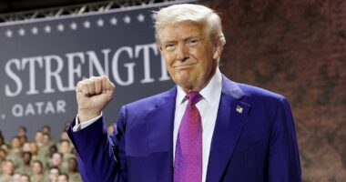 Trump insiders reveal true story behind $400 million luxury jet from Qatar