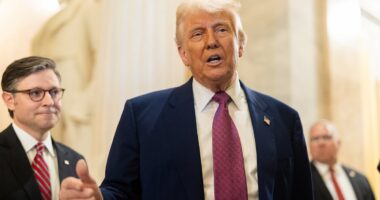 Trump scores big win as his 'big beautiful bill' passes the House including trillions in tax cuts and $1K MAGA baby account