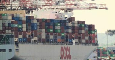 Trump trade war faces legal challenge as businesses, states argue his tariffs exceeded his power