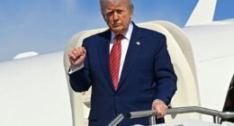 Trump wields the knife as he orders shock purge at crucial agency that's pivotal for Americans' safety