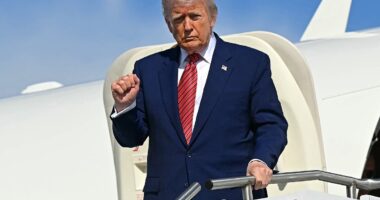 Trump wields the knife as he orders shock purge at crucial agency that's pivotal for Americans' safety