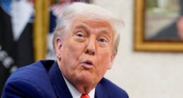 Trump's stunning six-word marriage advice for Emmanuel Macron after wife Brigitte shoved him in the face