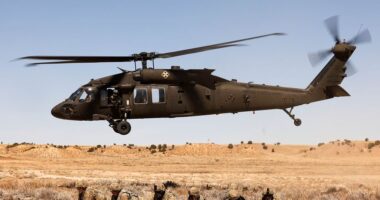 Two flight landings aborted at DC airport over Black Hawk collision fears in chilling echo of deadly crash