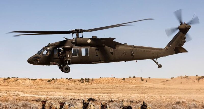 Two flight landings aborted at DC airport over Black Hawk collision fears in chilling echo of deadly crash