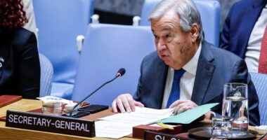 UN revisits 'killer robot' regulations as concerns about AI-controlled weapons grow