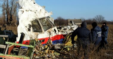 UN rules Putin DID shoot down MH17 killing 298 including 10 Brits… but Vlad’s butchers still may NEVER face justice