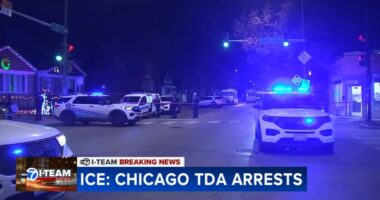 US Immigration and Customs Enforcement arrests alleged Tren de Aragua gang members in deadly Gage Park house party mass shooting