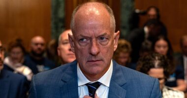 UnitedHealth CEO Andrew Witty resigns for 'personal reasons' six months after Luigi Mangione shooting