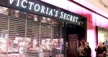 Victoria’s Secret forced to take down website over ‘security incident’ leaving shoppers in the dark