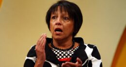 Vital new gender guidance to help organisations deal with Supreme Court ruling on the definition of a woman is in a 'state of limbo until EHRC chair is replaced'