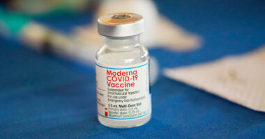 WHO members adopt a 'pandemic agreement' born out of the disjointed global COVID response