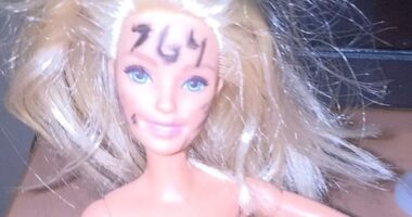 Warning over terrifying online gang which pushes teenage victims to take nudes, hurt family pets or self-harm