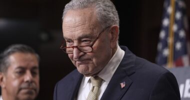 Watch: Angry Chuck Todd Chews Schumer Out Over Biden Cognitive Cover-Up: ‘You’re Part of the Problem!’