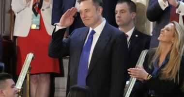 Watch: Donald Trump Releases Video Saluting Elon Musk as He Rides Off Into the Sunset