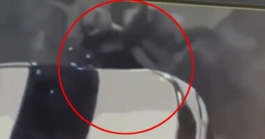 Watch as female Secret Service officers are caught fighting outside Obama’s home as one says she’ll ‘whoop girl’s a**’