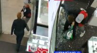 Watch moment have-a-go hero dad tackles hammer-wielding robber smashing open jewellery cases at shopping centre