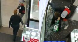 Watch moment have-a-go hero dad tackles hammer-wielding robber smashing open jewellery cases at shopping centre