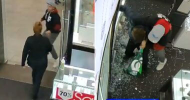 Watch moment have-a-go hero dad tackles hammer-wielding robber smashing open jewellery cases at shopping centre