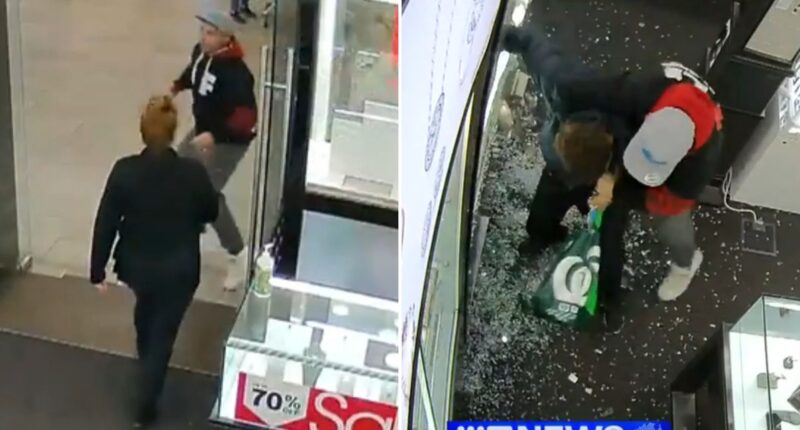 Watch moment have-a-go hero dad tackles hammer-wielding robber smashing open jewellery cases at shopping centre