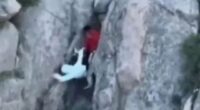 Watch shock moment couple cheat death as they fall off 5,000ft mountain while taking risky shortcut to avoid queue