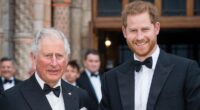 What Harry must do if he REALLY wants reconciliation with his father - and why Charles CAN'T speak to him about legal dispute, revealed by The King's biographer
