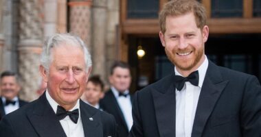 What Harry must do if he REALLY wants reconciliation with his father - and why Charles CAN'T speak to him about legal dispute, revealed by The King's biographer